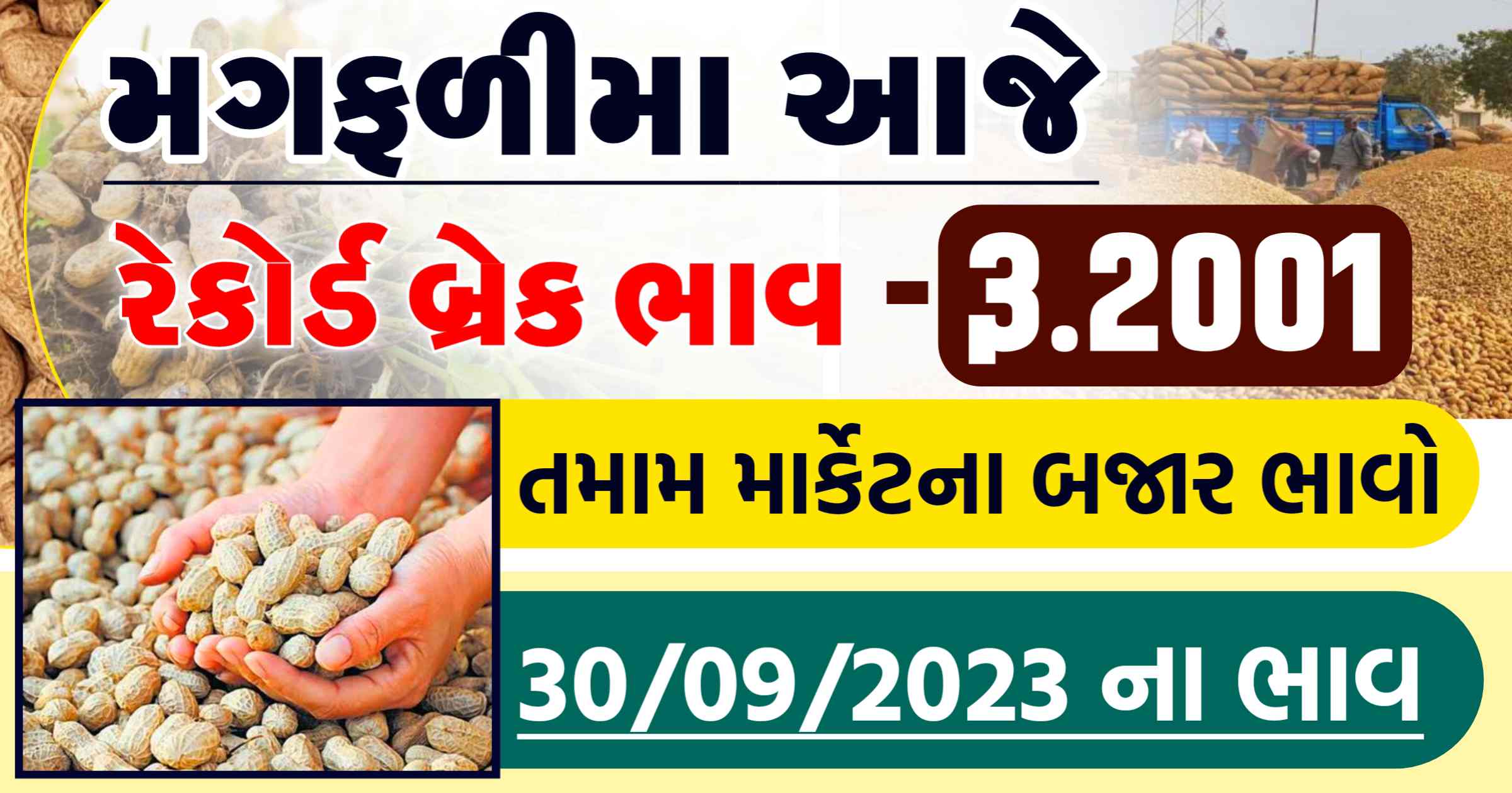 magfali na bhav rajkot