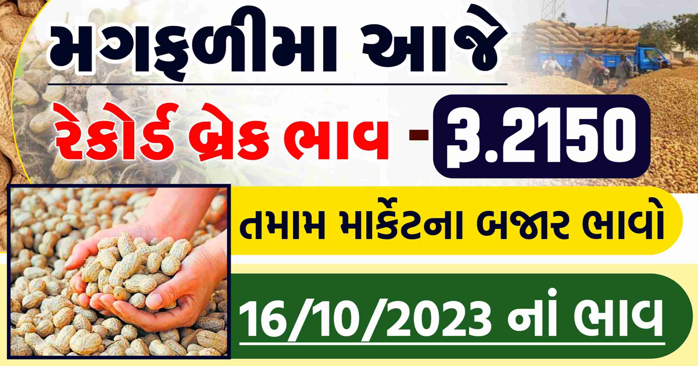 magfali na bhav today