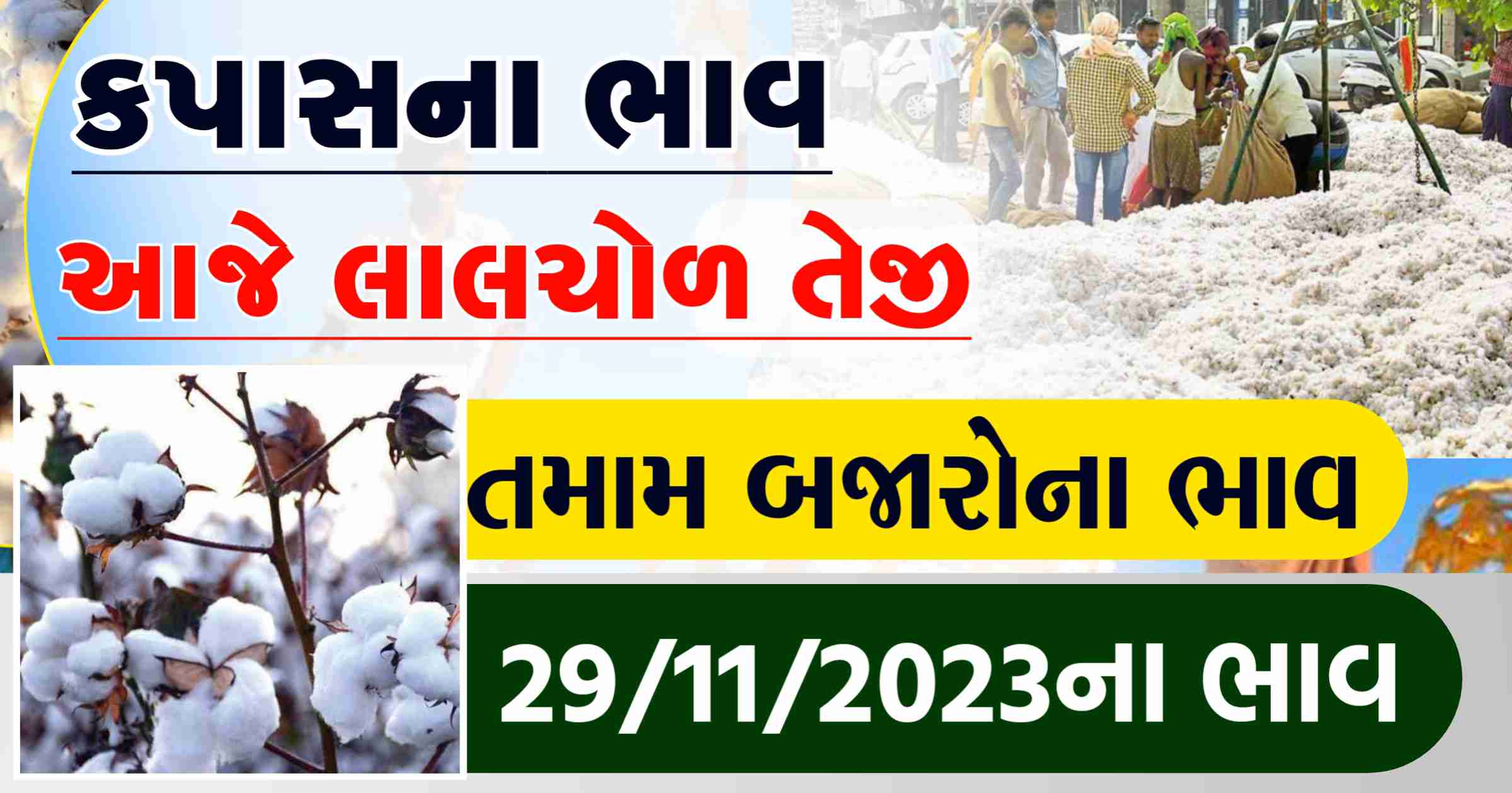 cotton  market price today