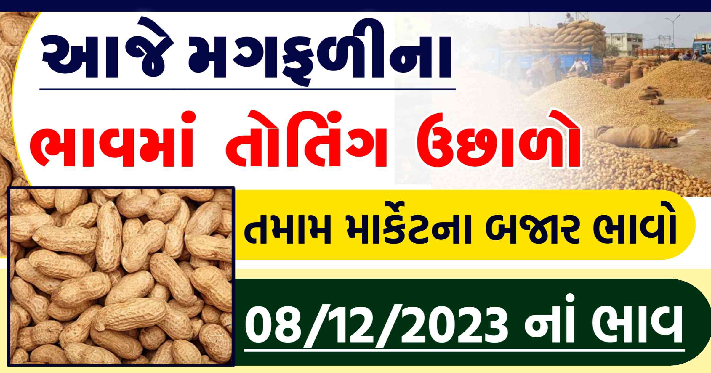 મગફળી ભાવ