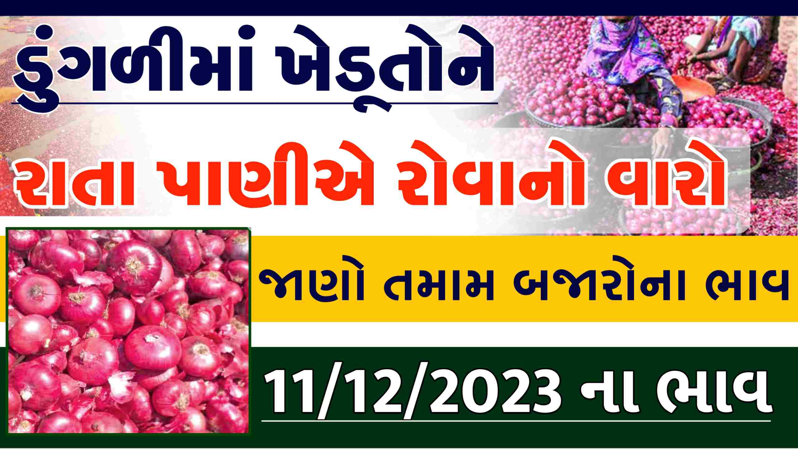 ડુંગળી