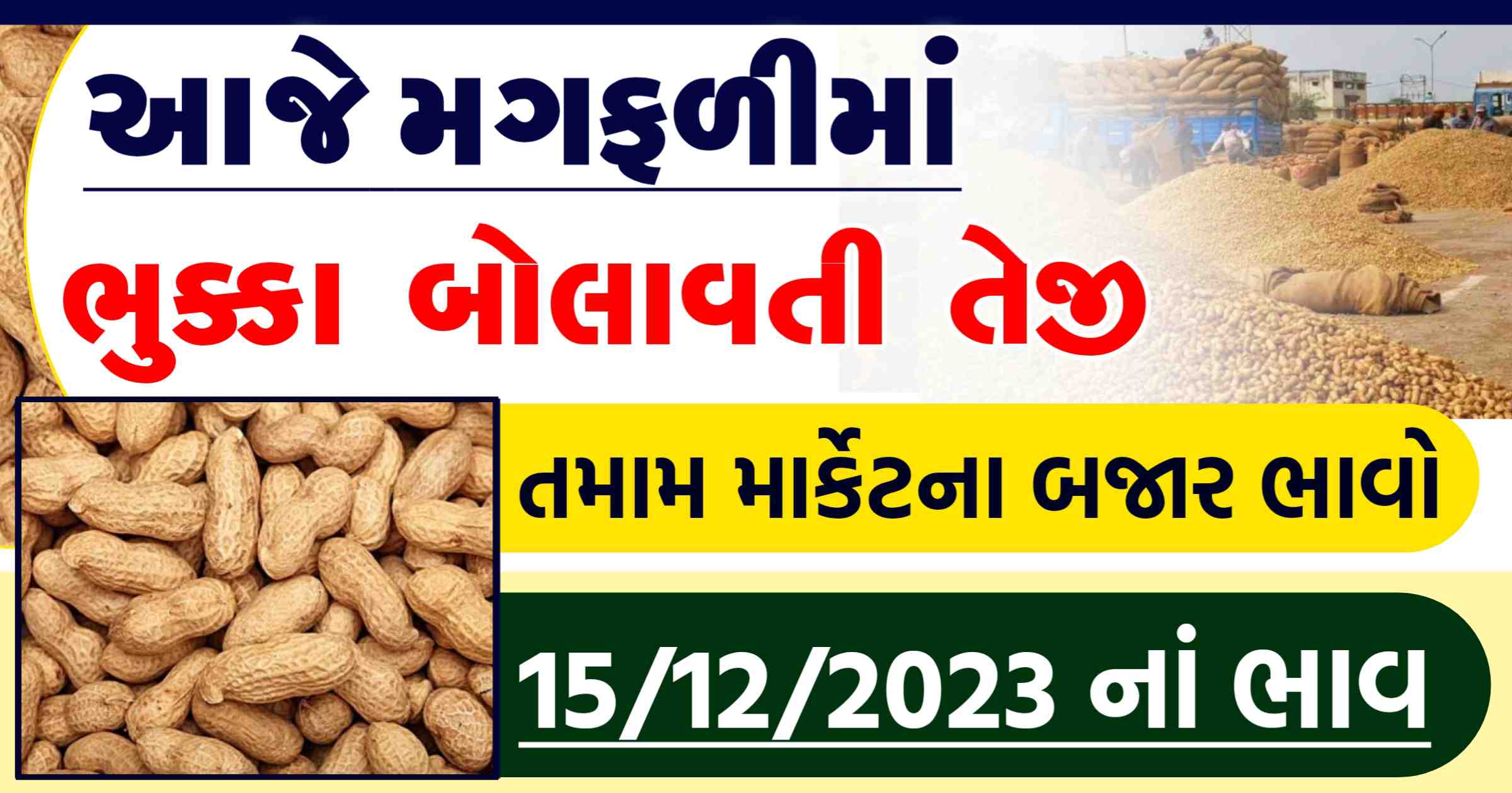 મગફળી ના ભાવ :