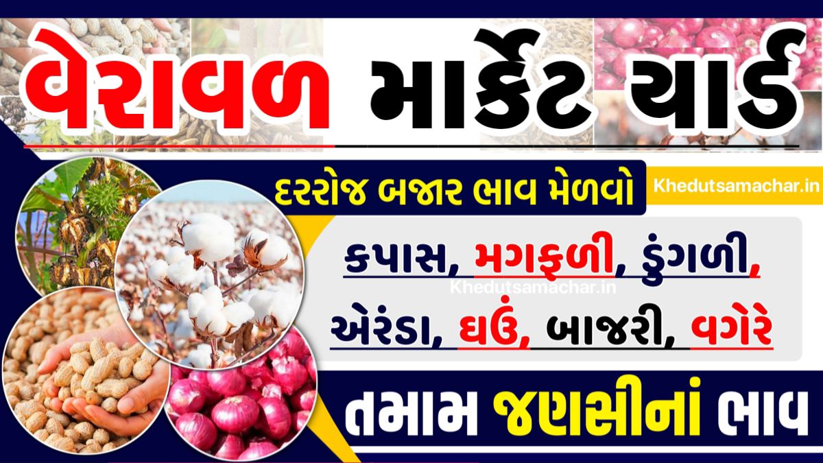 APMC Veraval Market Yard Bhav