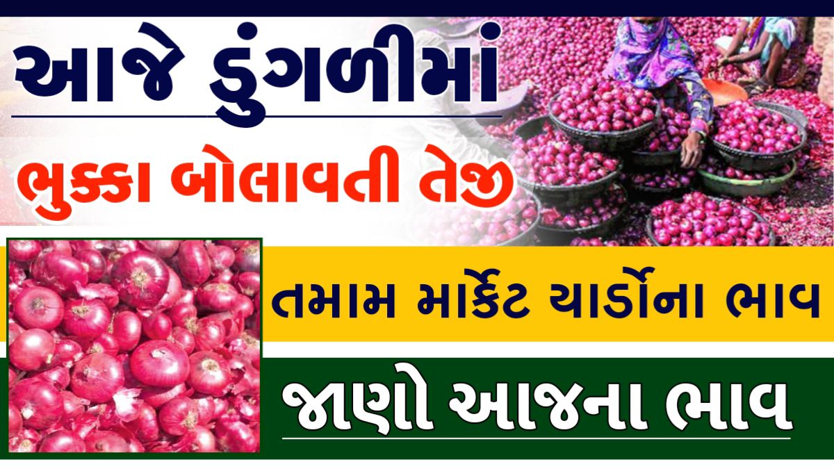 ડુંગળીના ભાવ