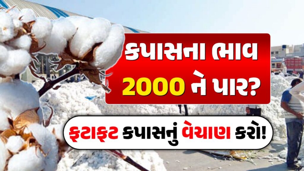 Cotton prices