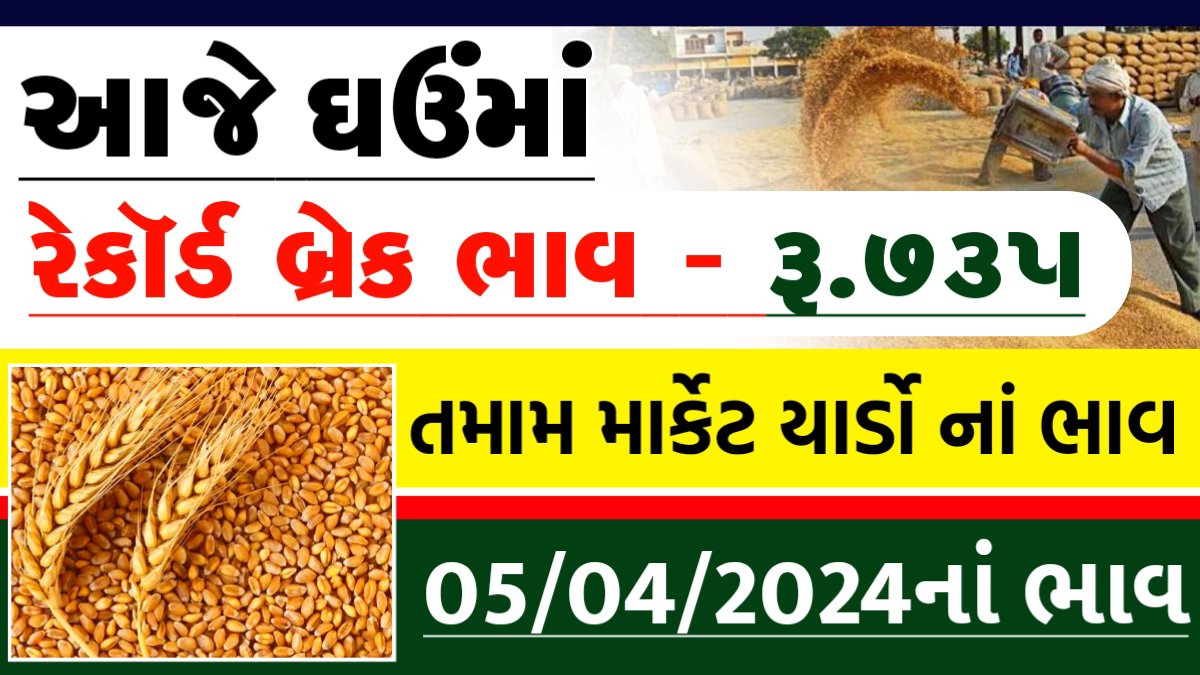 today wheat price