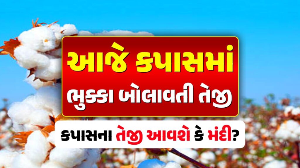 cotton price