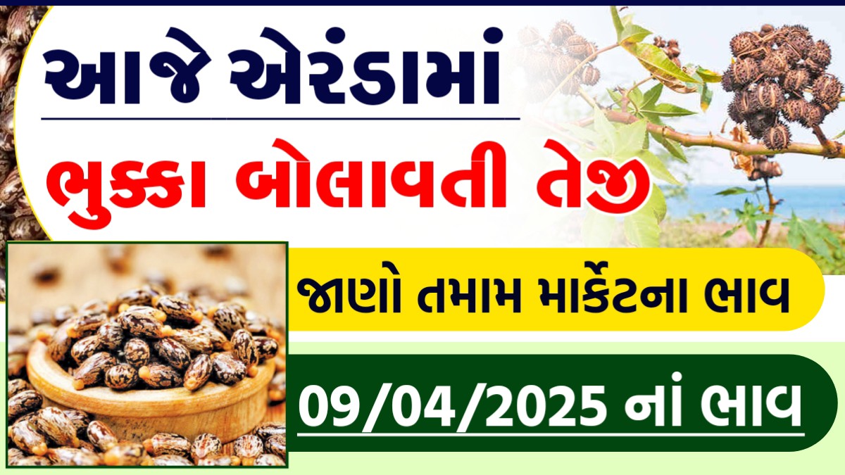 eranda bhav gujarat