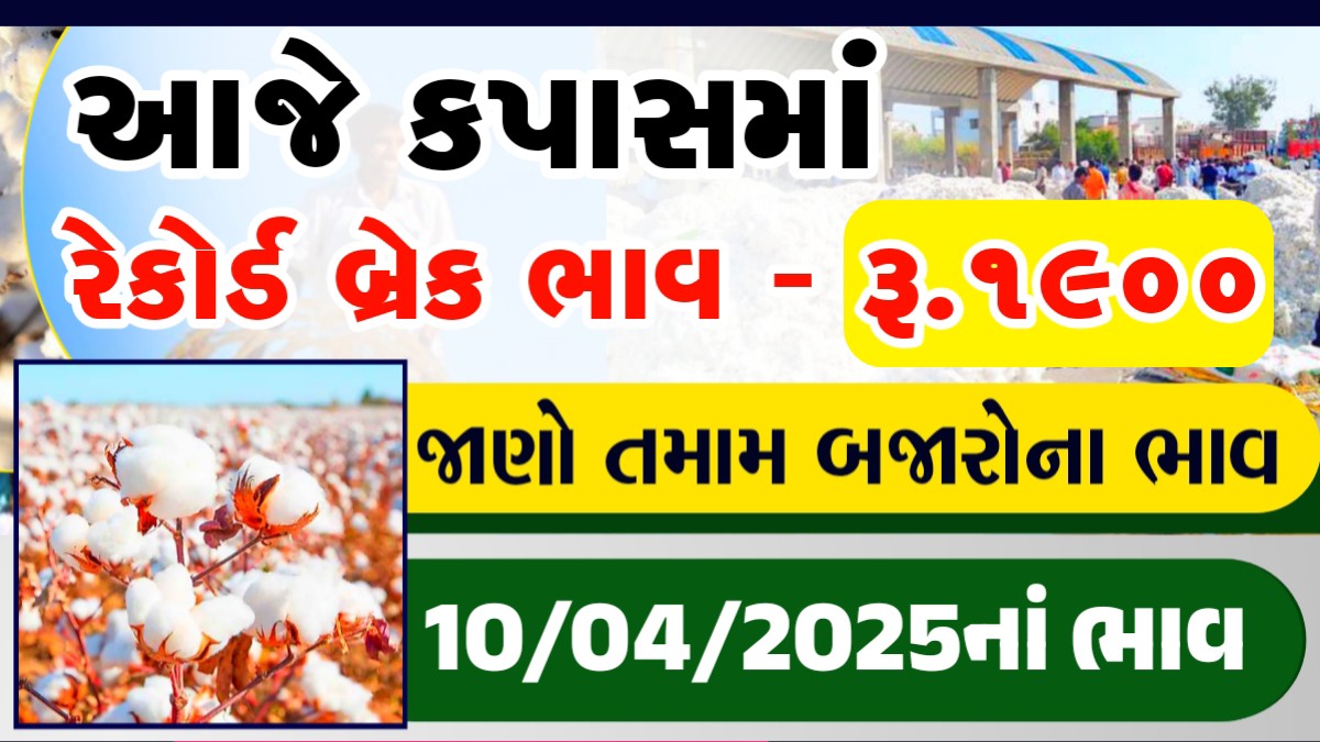 us cotton price live