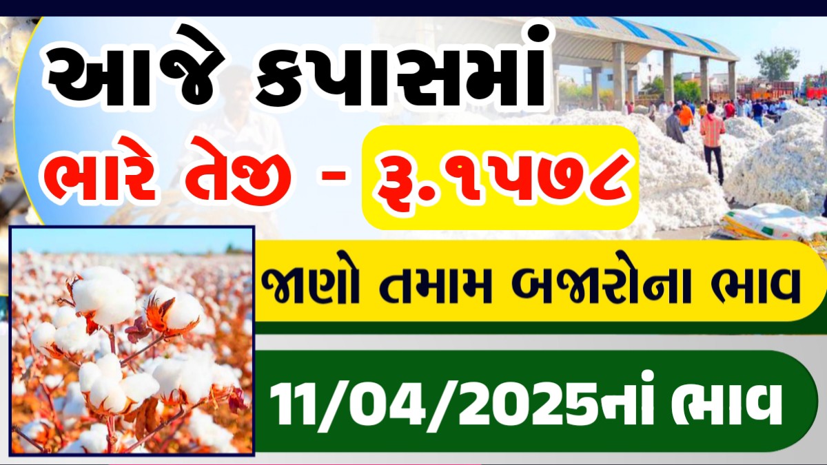 cotton market price today