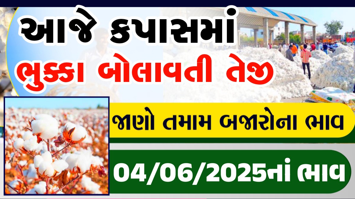 rajkot kapas na bhav