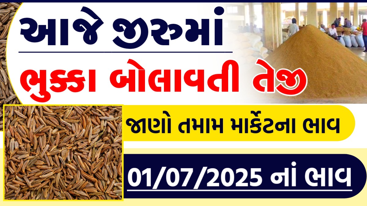 જીરું ભાવ 2025