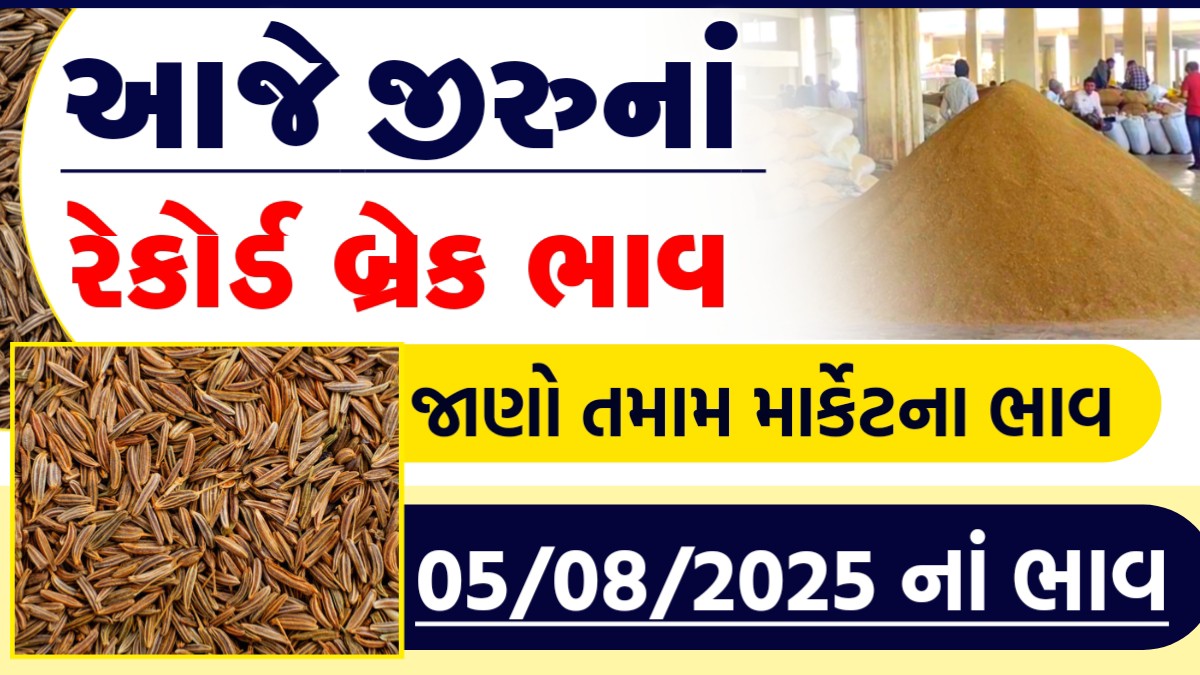 જીરું ભાવ આજના