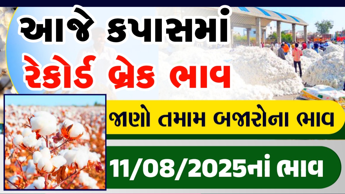 કપાસના ટેકાના ભાવ